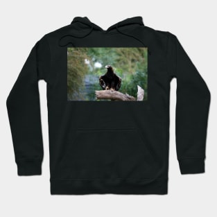 Eagle Pose Hoodie